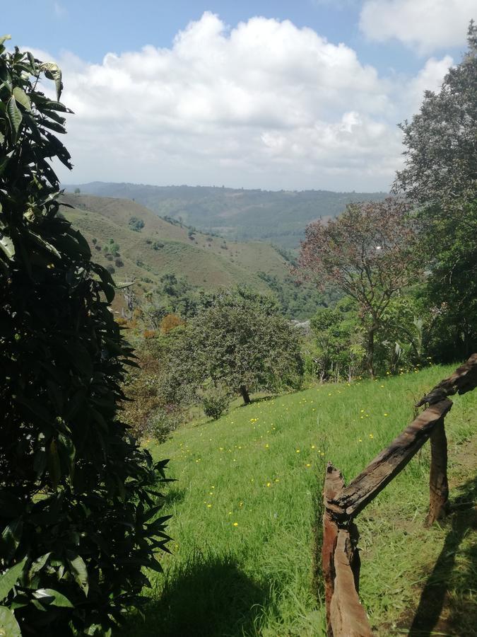 Ecorefugio Las Mirlas Salento Exteriér fotografie
