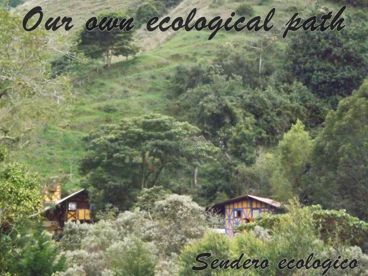 Ecorefugio Las Mirlas Salento Exteriér fotografie